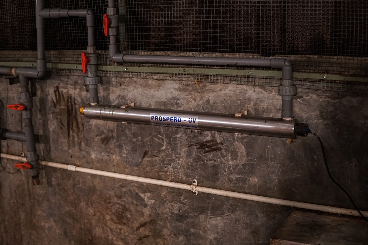 Concrete Developments